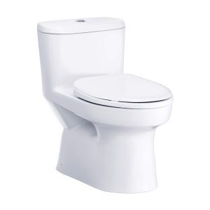 BÀN CẦU COTTO C1015