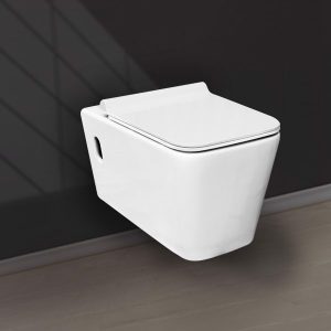 BÀN CẦU 1 KHỐI 2 NÚT NHẤN CT03