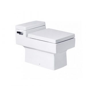 BÀN CẦU COTTO C10317 - QUADO