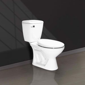 BÀN CẦU 2 KHỐI GẠT XẢ V02