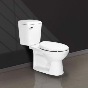 BÀN CẦU 2 KHỐI GẠT XẢ V04