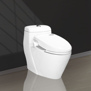 BÀN CẦU 1 KHỐI NẮP RỬA ĐIỆN TỬ 1001