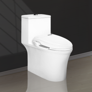 BÀN CẦU 1 KHỐI NẮP RỬA ĐIỆN TỬ 1015