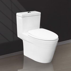 BÀN CẦU 1 KHỐI 2 NÚT NHẤN 1021