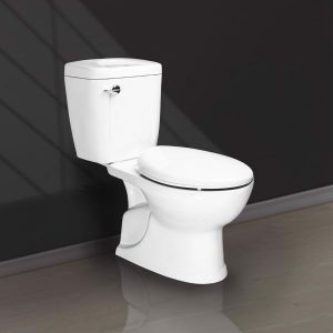 BÀN CẦU 2 KHỐI GẠT XẢ V10