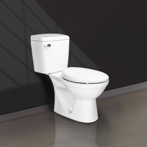 BÀN CẦU 2 KHỐI GẠT XẢ V113