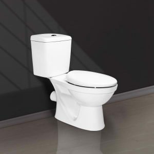 BÀN CẦU 2 KHỐI 1 NÚT NHẤN (XẢ NGANG) V113