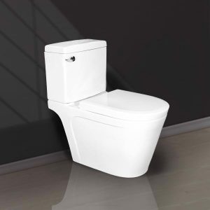 BÀN CẦU 2 KHỐI GẠT XẢ V117