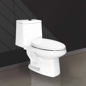 BÀN CẦU 2 KHỐI 2 NÚT NHẤN V118