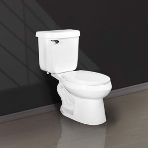 BÀN CẦU 2 KHỐI GẠT XẢ V120