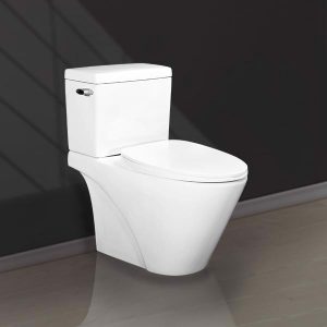 BÀN CẦU 2 KHỐI GẠT XẢ V124